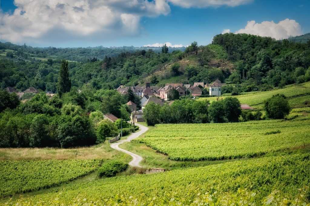 Wein aus Frankreich Wein Weisswein Bordeaux Burgund