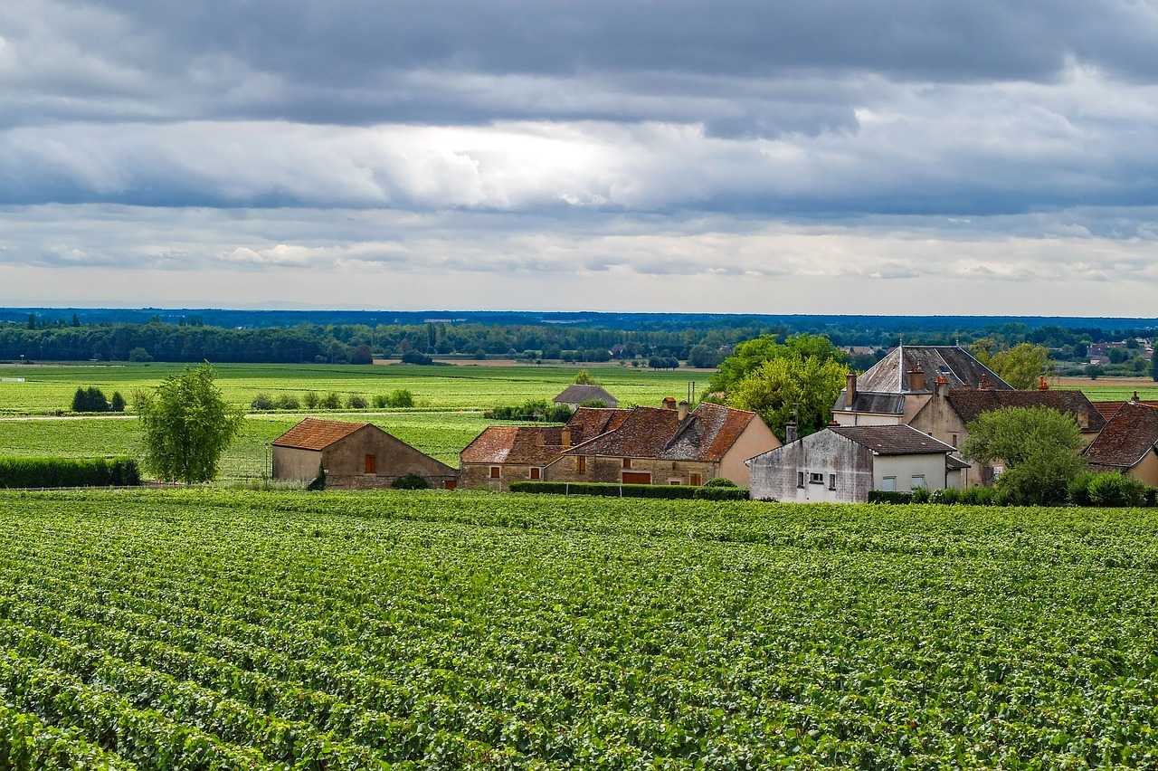 Wein aus Frankreich Wein Weisswein Bordeaux Burgund