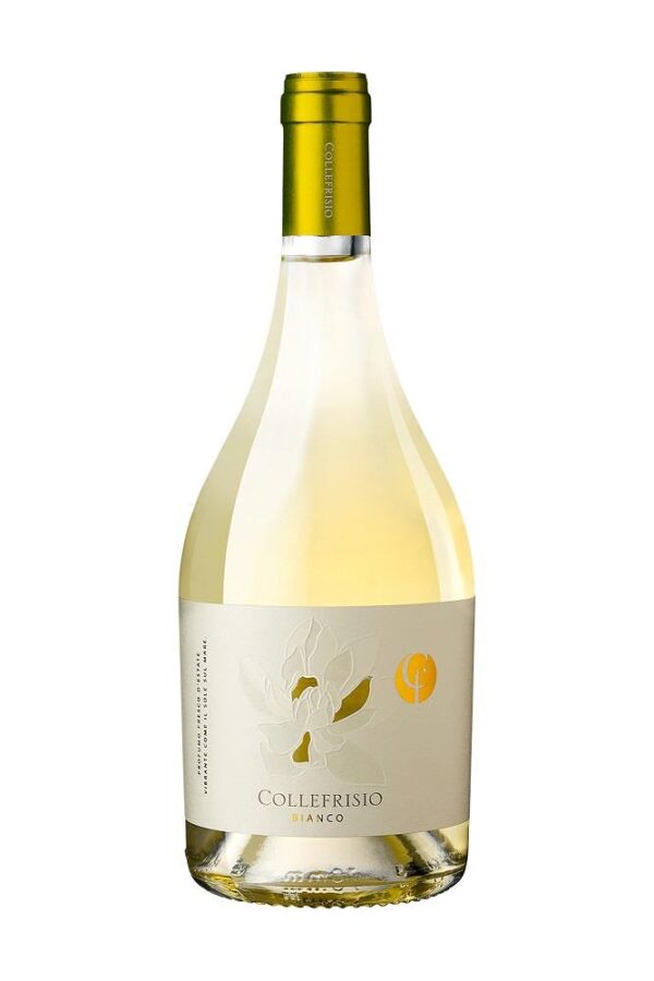 vini bianco magnolia collefrisio